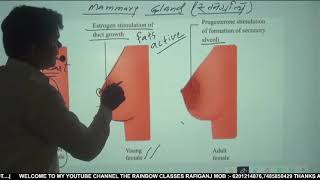 Copy of Biology 12th m [upl. by Eugenio]