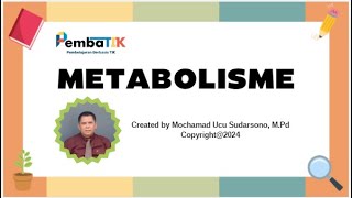 Metabolisme [upl. by Nilknarf]