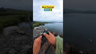 Latest match fishing videos 2024  amazing fish video  hook fishing fish shorts bait river 4k [upl. by Eileen]