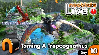 ARK Crystal Isles TAMING A TROPEOGNATHUS Jet fighter DAY 10 Live ARKCrystalIsles [upl. by Schargel]