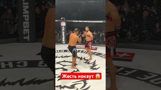 Нокаут года mma боец бой мма бои бокс ufc нокаут юфс боевыеискусства reels muaythai [upl. by Ajtak]