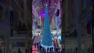 Eaton Centre [upl. by Tronna]