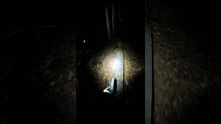 Night mtb ride at Thorn mtb mountainbike gopro11 bike bicycle Ohio statepark campground mtn [upl. by Naejamron]