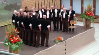 Jodlerklub Wattenwil Jodlerfest Steffisburg 2016 [upl. by Meadow929]