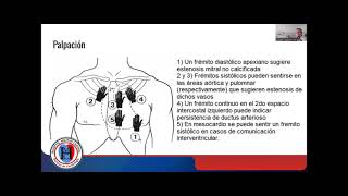 MODULO SEMIOLOGÍA CARDIOVASCULAR  INSPECCIÓN  PERCUSIÓN PALPACIÓN Y AUSCULTACIÓN [upl. by Eceerehs]