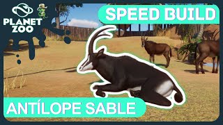 Exhibición de Antílope sable Hippotragus niger  Speed Build  PLANET ZOO [upl. by Eenimod]