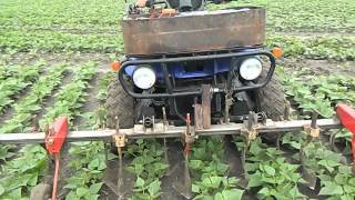 binage haricots verts 2014 avec quad jc [upl. by Mcclimans]