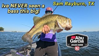 MY BIGGEST TOURNAMENT BASS EVER 3RD place finish Sam Rayburn Tourney day [upl. by Hi]