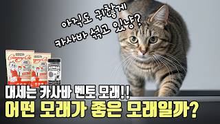 어떤 모래가 좋은 모래일까 고양이 모래 선택시 고려해야 할 것들 PPL 컨트리캣 [upl. by Philemol]