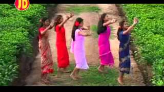 Phool Baganer Malini  Tushar Arjun  Barnali Kalita  Superhit Baganiya song Assam [upl. by Notnef996]