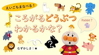 ②ころころどうぶつなぁ～んだ？ 英語もまなべる幼児向け知育アニメ 知育 アンパンマン pupupukids [upl. by Jenei78]