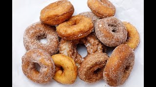 The best apple cider doughnut in the Berkshires [upl. by Nerrol]