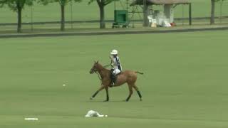 The Polo Channel  La Dolfina vs La Albertina  Hurlingham Open 2017 [upl. by Enirehtac]