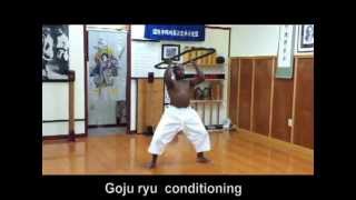 Traditional Karate Conditioning  Hojo Undo Okinawa Goju ryu wwwtucsonkaratenet [upl. by Yerffe]