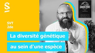 La diversité génétique au sein dune espèce  SVT  2de [upl. by Annocahs340]