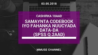 SPSS 2 Samaynta Codebook iyo Fahanka Halbeegyada Cabiraada [upl. by Abdulla]