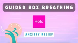 If youre having a PANIC ATTACK watch this  Guided Box Breathing  Instant panic attack relief [upl. by Anirdna749]