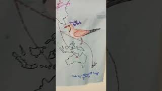 Bird migration charts beautiful [upl. by Larry]