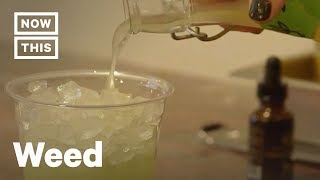 CBDInfused Drinks Are Served at This Coffee Shop in NYC  NowThis [upl. by Munt]