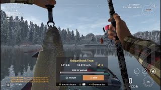 Unique Brook Trout White Moose Lake Fisherman Fishing Planet [upl. by Loise]