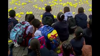 Protocolos de Mineducación para que colegios de Colombia retomen clases presenciales en la pandemia [upl. by Winna]