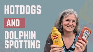 quotPembrokeshire Life Vlog Hotdog Feast amp Dolphin Sightingquot [upl. by Adhamh817]