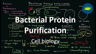 Bacterial Protein expression and Purification  Cell Biology  Basic Science Series [upl. by Hardman]