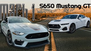 Top 5 Reasons Why I Bought a Mach 1 Mustang over an S650 Mustang GT [upl. by Ehav]