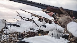 Shooting 62 SNOW GEESE INSANE Goose Hunting in Kansas [upl. by Daht696]