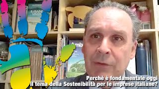 Perchè è fondamentale oggi il tema della Sostenibilità per le imprese italiane [upl. by Nahtnanhoj]