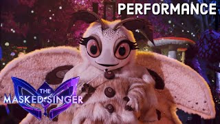 Poodle Moth sings “Price Tag” by Jessie J ft BOB  THE MASKED SINGER  SEASON 11 [upl. by Akvir]