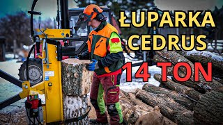 ŁUPARKA DO DREWNA CEDRUS 14 TON  Pierwsze wrażenia [upl. by Wiley26]