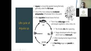 quotEctoparasitic Diseases in Fishquot By Mr Bhartendu Vimal [upl. by Alli627]