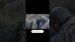 Snapper shoot Stag viralvideo Shooter Video Viral 😢 [upl. by Nicolis]