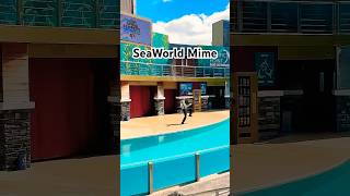 SeaWorld Orlando Mime Crowd Reaction themeparkmaddy [upl. by Lewap]