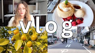 vlog 🇯🇵 sama w Nagoi porządki w mieszkaniu japońskie pankejki [upl. by Asik]