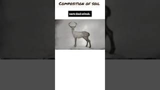 How is soil formed  Process of soil composition Soil Resources Geography soilcomposition [upl. by Krawczyk]