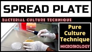 Spread Plate Technique for Colony CountingA Complete Procedure Microbiology [upl. by Ellerrehs355]