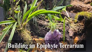 Building Epiphyte Terrarium [upl. by Dudley]