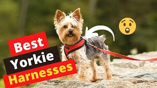 6 Best Dog Harnesses for Yorkies in 2022 [upl. by Ahsiemak]