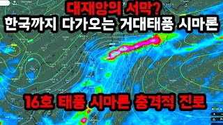 대재앙의 서막 한국까지 다가오는 거대 태풍 16호 시마론의 충격적 진로 [upl. by Amahcen734]