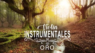 Violines de Oro  Música Instrumental Orquestada  Grandes Exitos Instrumentales de Oro [upl. by Willing]