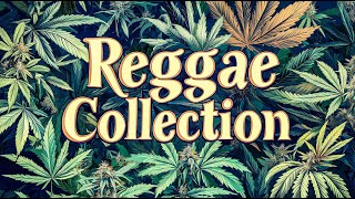 Island Reggae Mix Smooth Dub amp HipHop for Total Relaxation 🎶 [upl. by Vinay]