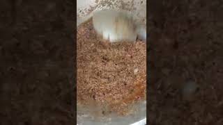 SPICY BAGOONG ALAMANG SHORTVIDEO [upl. by Ashli]