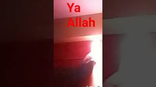 Ya Allah Ya MohammadYa RabYa moula Ali [upl. by Oniotna]