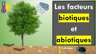 Les Facteurs biotiques et abiotiques [upl. by Ynafets]