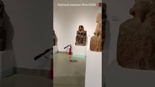 National museum Delhi 📍🇮🇳 history india travel tiurism subscribe shorts museum natinal [upl. by Fernandez]