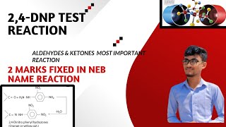 Aldehydes And Ketones  24  DNP Test  2 Marks Fixed neb organicchemistry12 [upl. by Adikam]