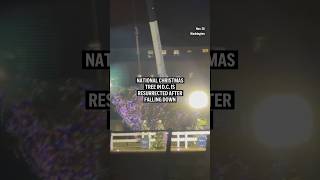 National Christmas Tree in DC is resurrected after falling down [upl. by Leese]