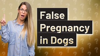 Can a dog look pregnant but not be pregnant [upl. by Aurelius]